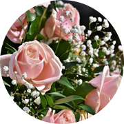 訪問エンジェルケア|ピンクのバラの画像
